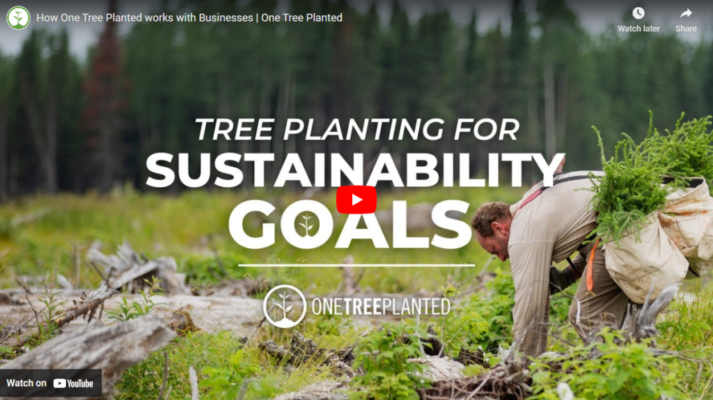 one tree planted video
