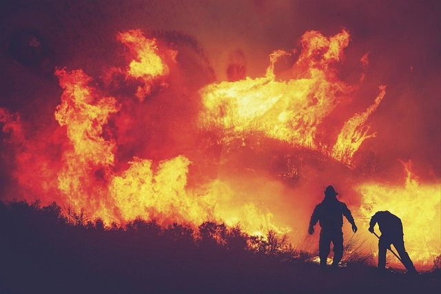 forest fire